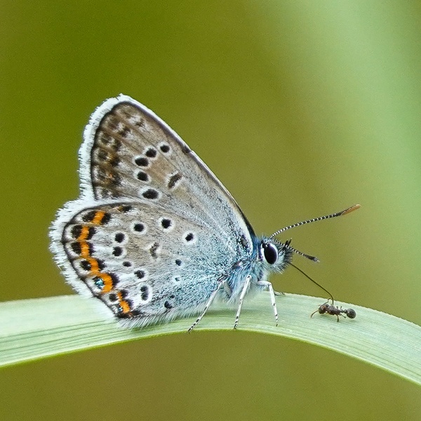 Nature photography