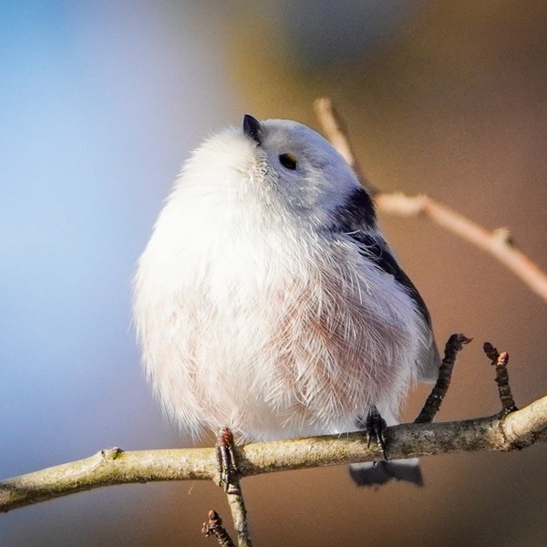 Nature photography
