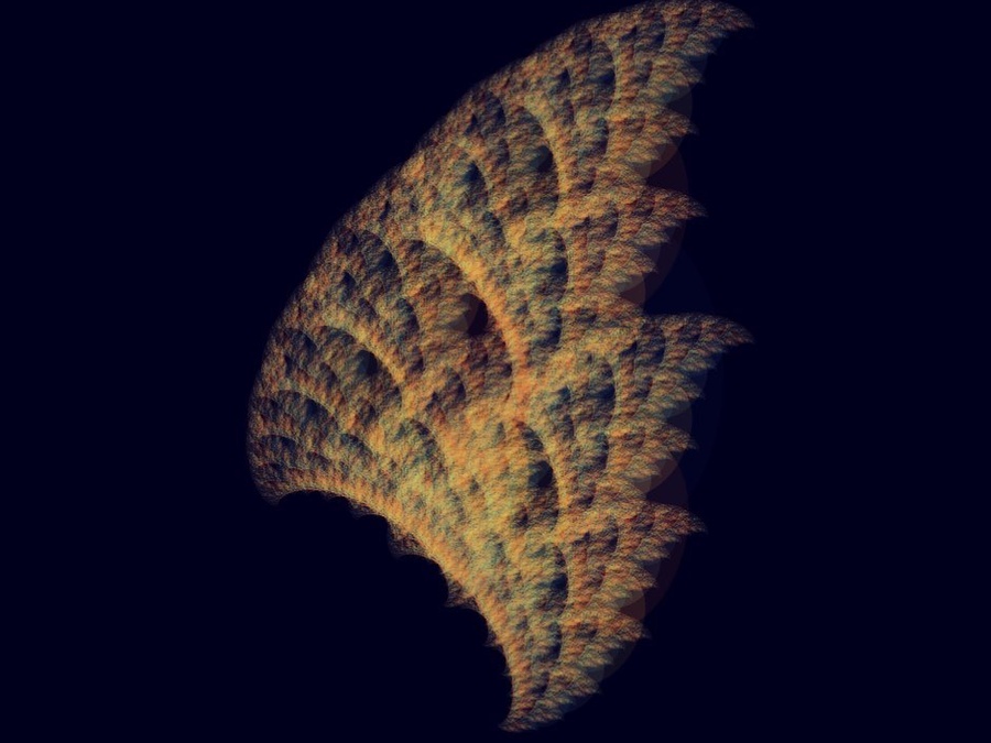 Fractal birds got fractal wings.