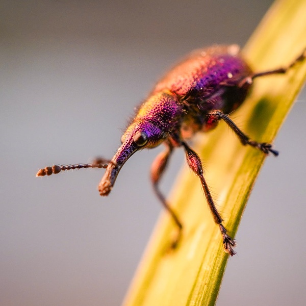 Nature photography
